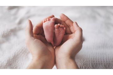 Centro per la famiglia dell'alto e basso pavese  brochure generale servizi 